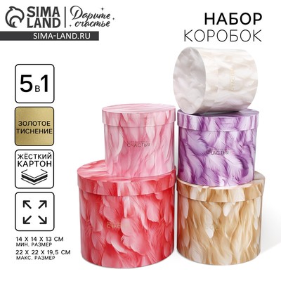 Набор коробок 5 в 1, упаковка подарочная, «Перья», 13 х 14 ‒ 19.5 х 22 см
