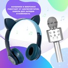 Игровой набор «Котик»: микрофон, наушники с ушками - фото 4407245