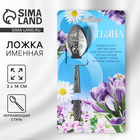 Ложка именная с гравировкой «Татьяна», 3×14 см - Фото 1