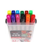 Набор маркеров профессиональных, 12 цветов, двусторонние, в пластиковом пенале, с ручкой - Фото 5