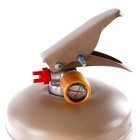 Гендер-пати. Огнетушитель с краской холи «Девочка» (Малиновый) Беж. Баллон 2л - фото 23418659