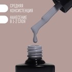 Гель лак для ногтей «DELICATE NUDE», 3-х фазный, 8 мл, LED/UV, цвет серый (15) - Фото 3