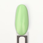 Гель лак для ногтей нюдовый, трехфазный, 8 мл, LED/UV, зелёный (26) - Фото 9