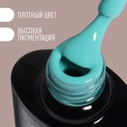 Гель лак для ногтей «DELICATE NUDE», 3-х фазный, 8 мл, LED/UV, цвет бирюзовый (31) - Фото 2