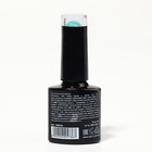 Гель лак для ногтей «DELICATE NUDE», 3-х фазный, 8 мл, LED/UV, цвет бирюзовый (31) - Фото 8