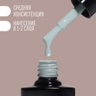 Гель лак для ногтей «DELICATE NUDE», 3-х фазный, 8 мл, LED/UV, цвет серый (50) - Фото 3