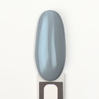 Гель лак для ногтей «DELICATE NUDE», 3-х фазный, 8 мл, LED/UV, цвет серый (52) - Фото 11