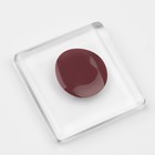 Гель лак для ногтей нюдовый, трехфазный, 8 мл, LED/UV, коричневый (56) - Фото 8