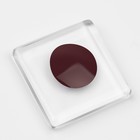 Гель лак для ногтей нюдовый, трехфазный, 8 мл, LED/UV, коричневый (57) - Фото 8