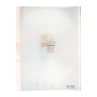 Папка формат А4, с 40 прозрачными файлами, "Достопримечательность" МИКС 9922533 - фото 16305770