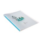 Папка формат А4, с 40 прозрачными файлами «Река», МИКС - Фото 6