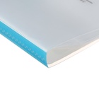 Папка формат А4, с 40 прозрачными файлами «Река», МИКС - Фото 8