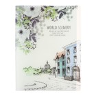 Папка формат А4, с 60 прозрачными файлами «Город», МИКС - Фото 3