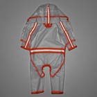 Дождевик - комбинезон для собак, размер XS, ДС 20, ОГ 32 см, вес 1-3 кг, прозрачный, оранжевый - Фото 6