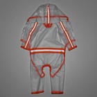 Дождевик - комбинезон для собак, размер M, ДС 30, ОГ 42 см, вес 5-8 кг, прозрачный, оранжевый - Фото 6