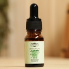 Эфирное масло «Зелёный бамбук», с дозатором, 10 мл «Добропаровъ» - Фото 2