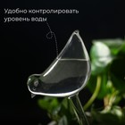 Автополив для комнатных растений «Птичка», 90 мл, ПВХ, Greengo - Фото 2