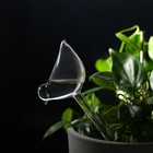 Автополив для комнатных растений «Птичка», 90 мл, ПВХ, Greengo - Фото 3