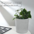 Автополив для комнатных растений «Птичка», 90 мл, ПВХ, Greengo - Фото 4