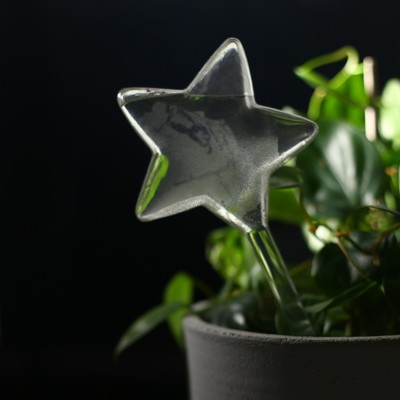 Автополив для комнатных растений «Звезда», 100 мл, ПВХ, Greengo