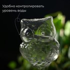Автополив для комнатных растений «Сова», 200 мл, ПВХ, Greengo - Фото 2