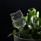 Автополив для комнатных растений «Сова», 200 мл, ПВХ, Greengo - Фото 3