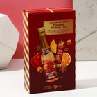 Подарочный набор новогодний ЧИСТОЕ СЧАСТЬЕ «Пряный праздник»: гель для душа шампанское 250 мл и крем для рук 30 мл 9767303 - фото 16697478