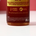 Подарочный набор новогодний ЧИСТОЕ СЧАСТЬЕ «Пряный праздник»: гель для душа шампанское 250 мл и крем для рук 30 мл 9767303 - фото 16697471