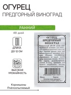 Семена Огурец "Предгорный виноград", 2 г - Фото 1