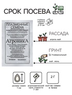 Семена Огурец "Предгорный виноград", 2 г - Фото 2