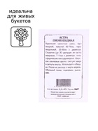 Семена Астра "Пионовидная", 2 г - фото 33976939