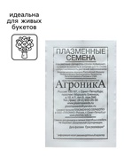 Семена Астра "Помпонная (смесь", 0,2 г - Фото 5