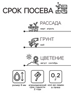 Семена Астра "Дюшес смесь", 0,2 г - Фото 2