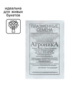 Семена Астра "Дюшес смесь", 0,2 г - Фото 3