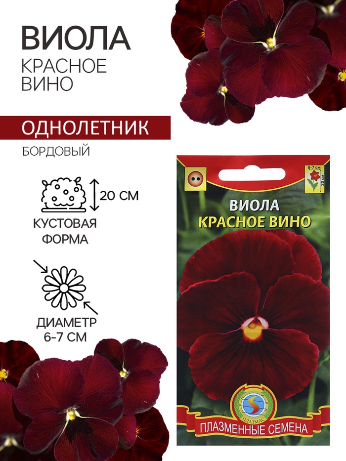 Семена Виола "Красное вино", 0,1 г - Фото 1