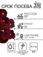 Семена Виола "Красное вино", 0,1 г - Фото 2