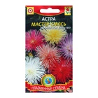 Семена Астра "Мастер", смесь, 0,3 г - Фото 5