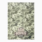 Набор подарочный «Этель. 23 февраля», плед флисовый, носки, перчатки - Фото 3