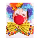 Карнавальный набор «Клоун», 2 предмета: нос, бабочка - Фото 2