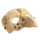 Карнавальная маска "Череп" - фото 23419086