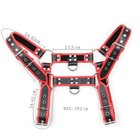 Портупея БДСМ мужская, на грудь, экокожа, красный кант - Фото 14