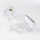 Пояс верности мужской, пластик, 6×3.5 см, набор колец, замок, ключ, прозрачный - Фото 3