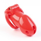 Пояс верности мужской, пластик,6×3.5 см, набор колец, замок, ключ, красный - Фото 1