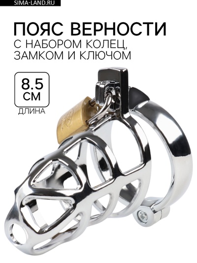 Пояс верности «Клетка целомудрия № 2», кольца d=4; 4.5; 5 см, замок, ключ, металл