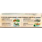 Подарочный набор травяных чаёв Ароматы тайги, 4*50 г - фото 23372913