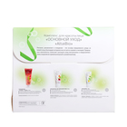 Подарочный набор AltaiBio для лица "Основной уход ", скраб + крем + крем-гель - фото 23702608