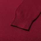 Водолазка женская цвет бордовый, размер ONE SIZE (46-50) - фото 24598937