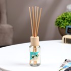 Диффузор ароматический "Модерн", 50 мл, жасмин, "Богатство Аромата" - Фото 3