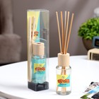 Диффузор ароматический "Модерн", 50 мл, персик, "Богатство Аромата" - Фото 1