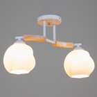 Люстра "Антер" 2хЕ27 40Вт белый 42х21х27 см BayerLux - фото 23342597